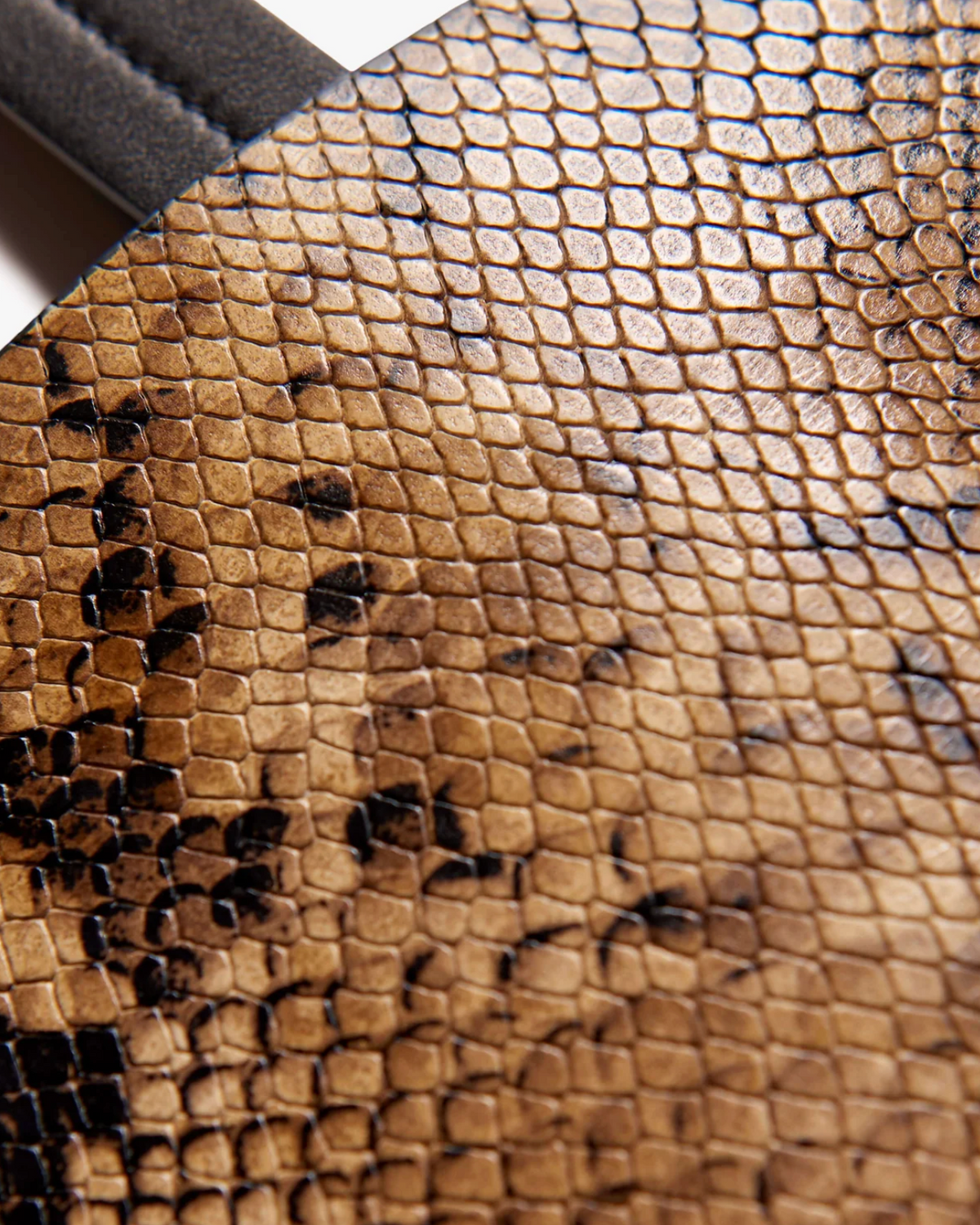 Medium Keith Bag-Handbags-Nili Lotan-Taupe Snakeskin-OS-Mercantile Portland