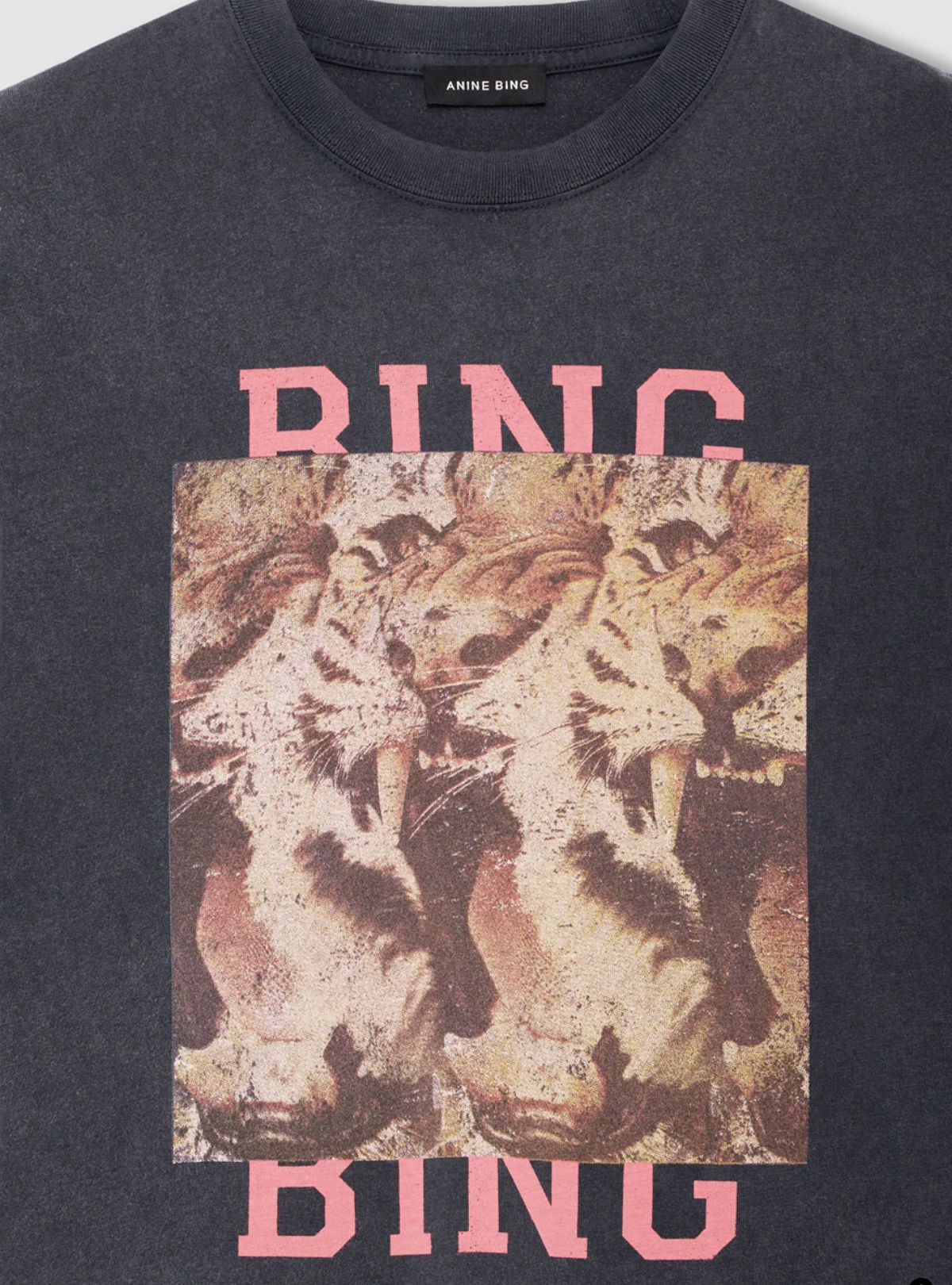 Cade Tiger Tee in Washed Black-T-Shirts-Anine Bing-Washed Black-S-Mercantile Portland