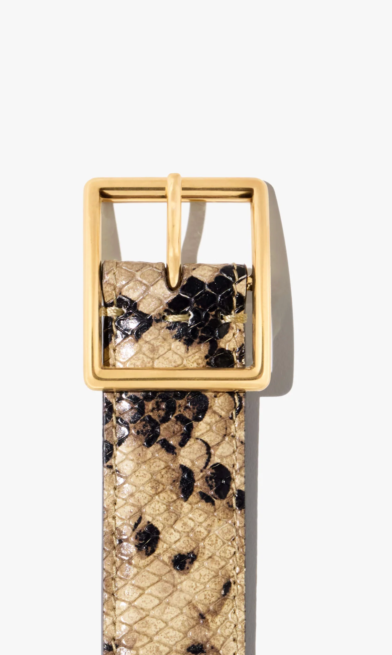 Gabriele Belt-Belts-Nili Lotan-OS-Taupe Snakeskin w/gold buckle-Mercantile Portland