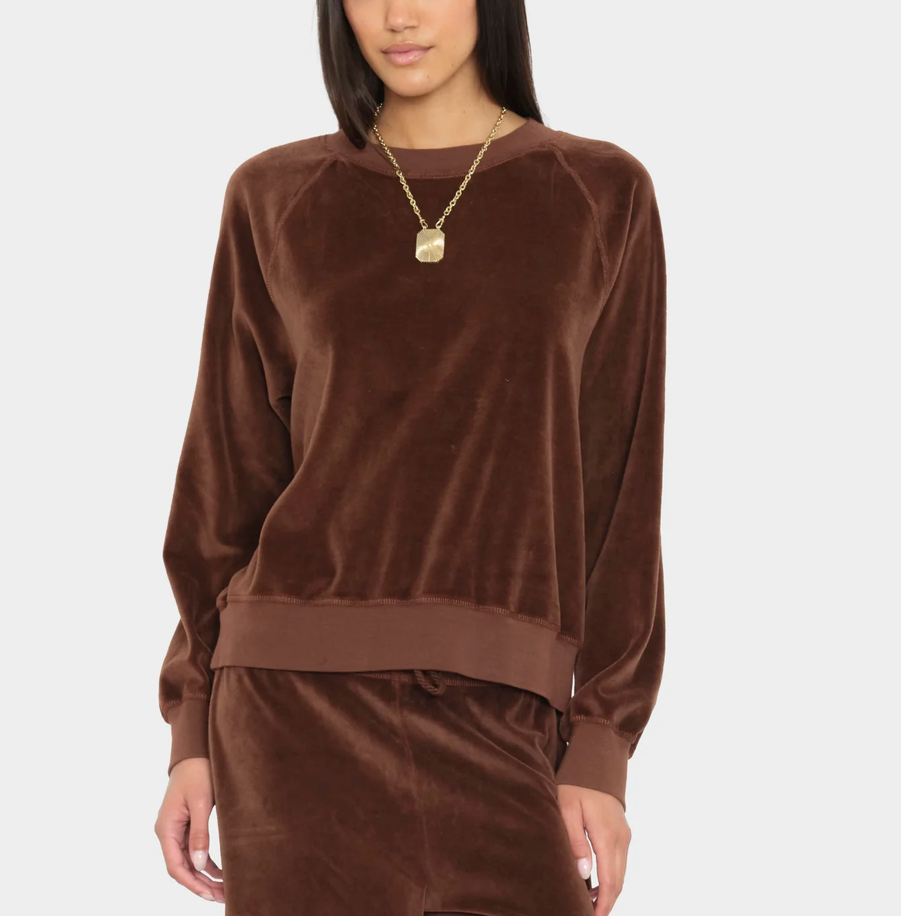 Pierre Sweatshirt in Mocha-Tops-Xirena-Mocha-XS-Mercantile Portland