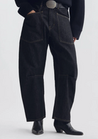 Shon Jean in Resin Rinse-Denim-Nili Lotan-Resin Rinse-24-Mercantile Portland